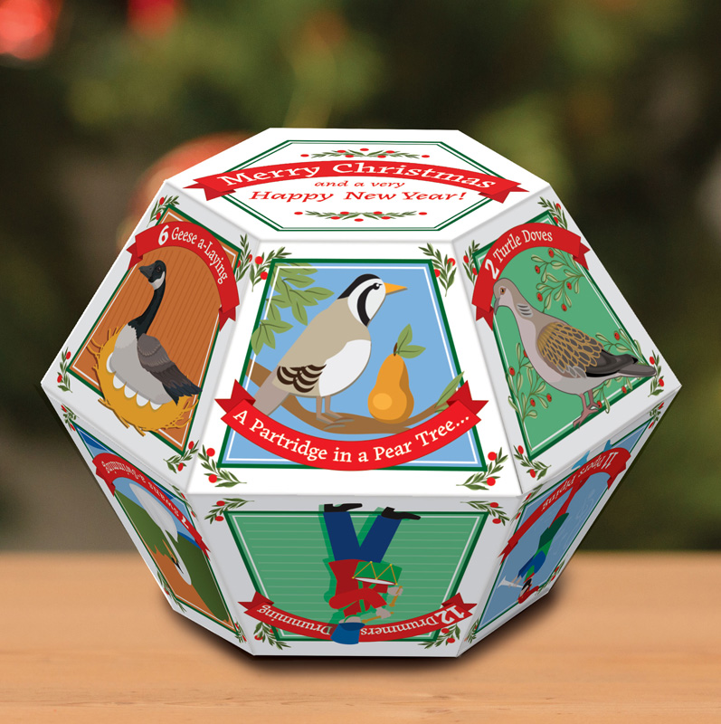 23004_G312DaysXmasPolyCard_3D_Top